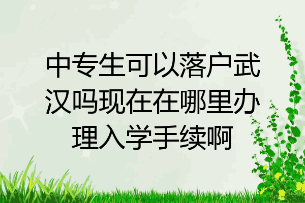 中专生可以落户武汉吗现在在哪里办理入学手续啊