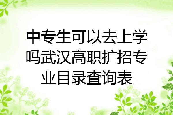中专生可以去上学吗武汉高职扩招专业目录查询表
