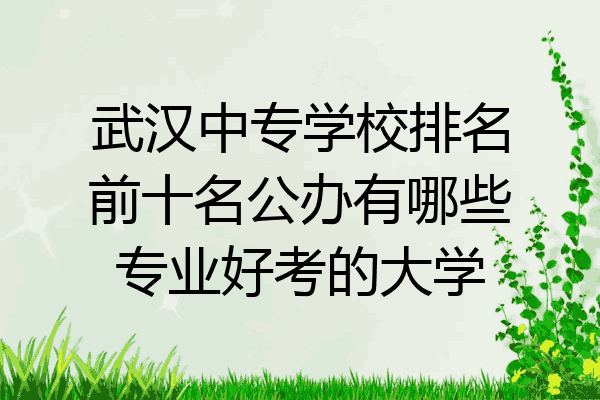武汉中专学校排名前十名公办有哪些专业好考的大学