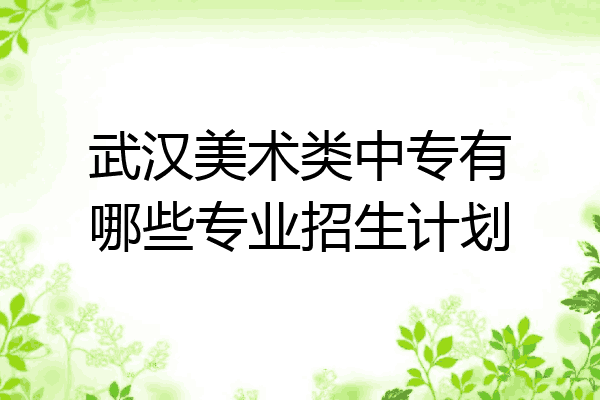 武汉美术类中专有哪些专业招生计划
