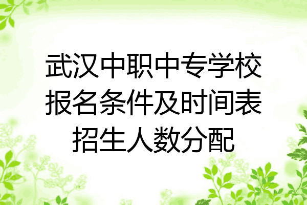 武汉中职中专学校报名条件及时间表招生人数分配