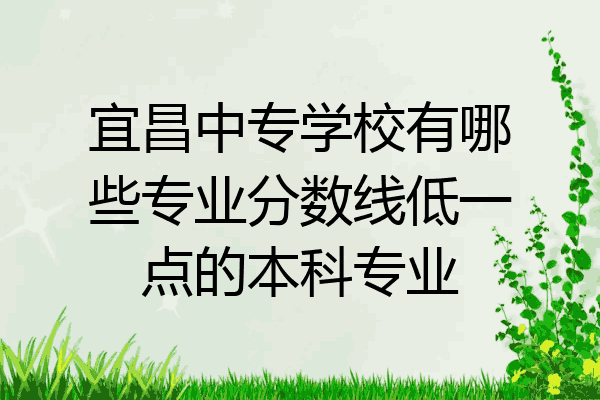 宜昌中专学校有哪些专业分数线低一点的本科专业