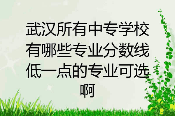 武汉所有中专学校有哪些专业分数线低一点的专业可选啊