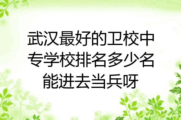 武汉最好的卫校中专学校排名多少名能进去当兵呀