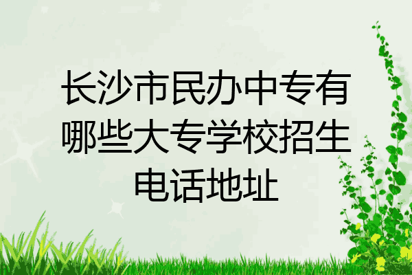 长沙市民办中专有哪些大专学校招生电话地址
