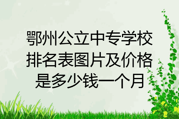 鄂州公立中专学校排名表图片及价格是多少钱一个月