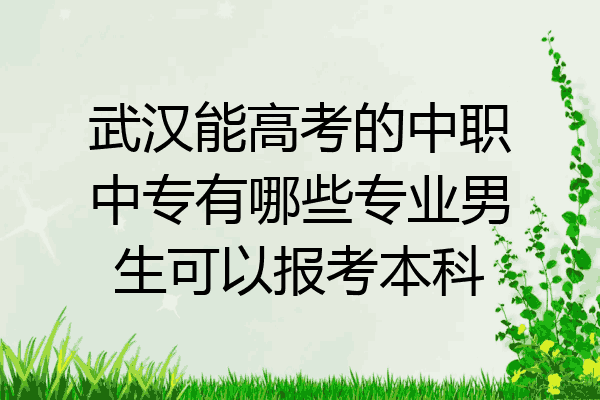 武汉能高考的中职中专有哪些专业男生可以报考本科