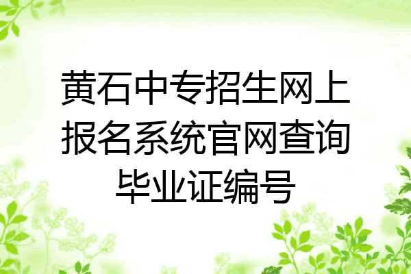 黄石中专招生网上报名系统官网查询毕业证编号