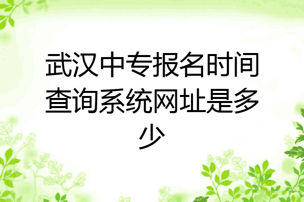 武汉中专报名时间查询系统网址是多少