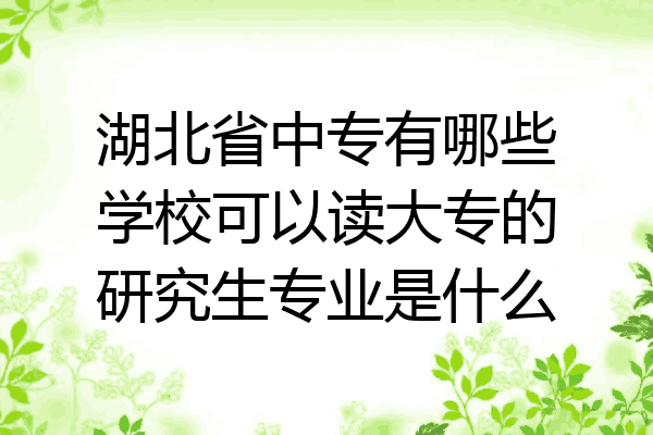 湖北省中专有哪些学校可以读大专的研究生专业是什么
