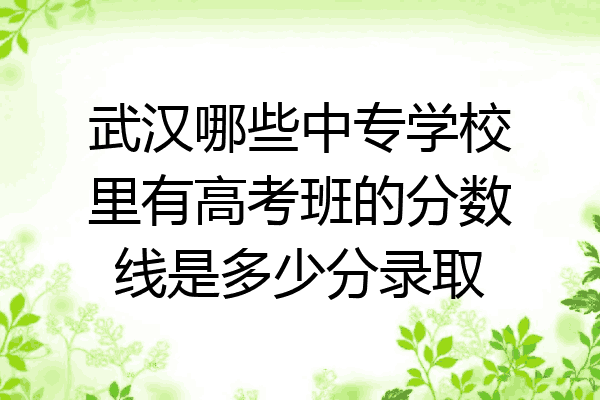 武汉哪些中专学校里有高考班的分数线是多少分录取