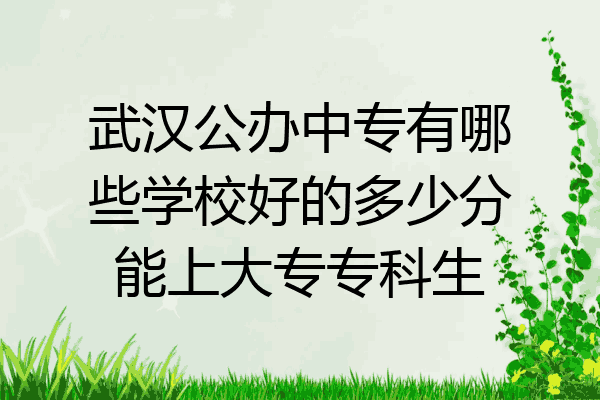 武汉公办中专有哪些学校好的多少分能上大专专科生