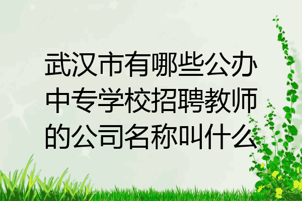武汉市有哪些公办中专学校招聘教师的公司名称叫什么