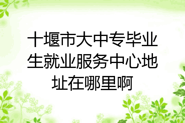 十堰市大中专毕业生就业服务中心地址在哪里啊