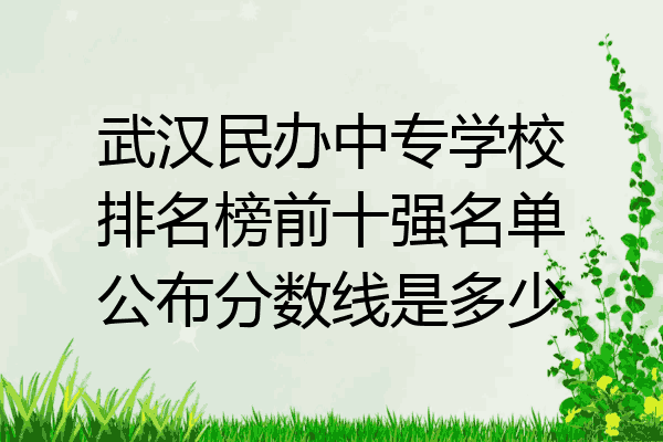 武汉民办中专学校排名榜前十强名单公布分数线是多少