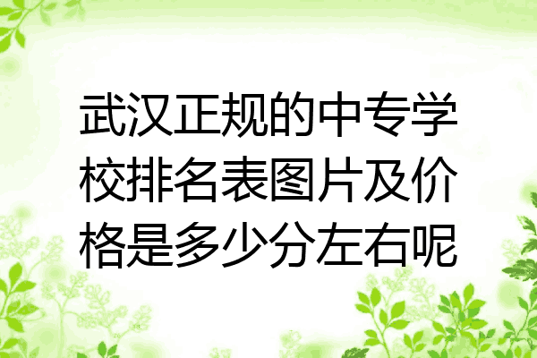 武汉正规的中专学校排名表图片及价格是多少分左右呢