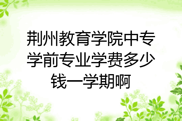 荆州教育学院中专学前专业学费多少钱一学期啊