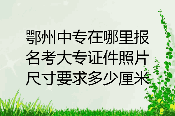 鄂州中专在哪里报名考大专证件照片尺寸要求多少厘米