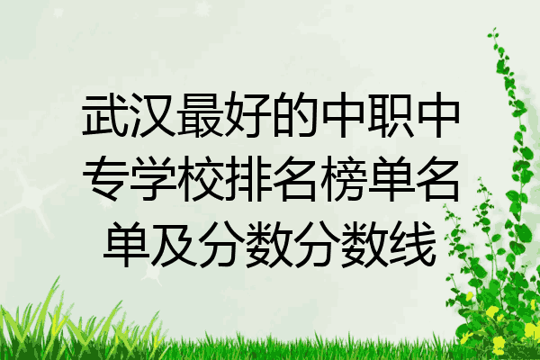 武汉最好的中职中专学校排名榜单名单及分数分数线