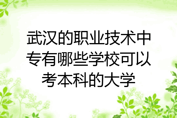 武汉的职业技术中专有哪些学校可以考本科的大学