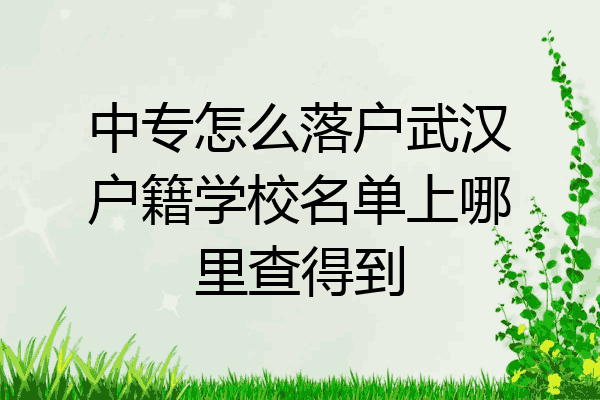 中专怎么落户武汉户籍学校名单上哪里查得到