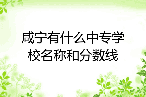 咸宁有什么中专学校名称和分数线