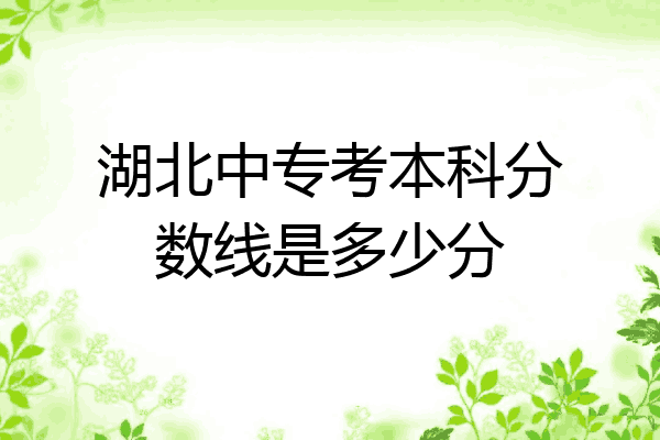 湖北中专考本科分数线是多少分