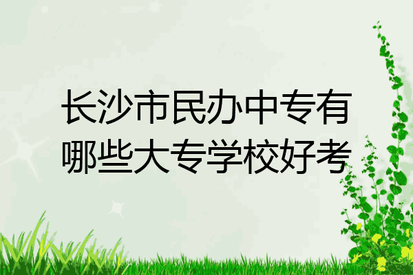 长沙市民办中专有哪些大专学校好考