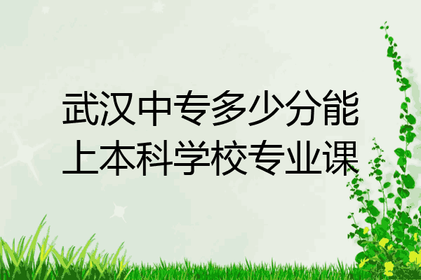 武汉中专多少分能上本科学校专业课