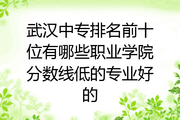 武汉中专排名前十位有哪些职业学院分数线低的专业好的