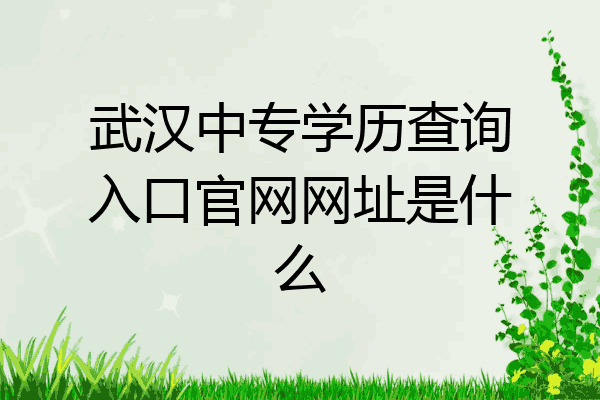 武汉中专学历查询入口官网网址是什么