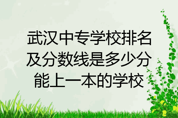 武汉中专学校排名及分数线是多少分能上一本的学校