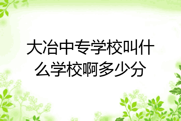 大冶中专学校叫什么学校啊多少分