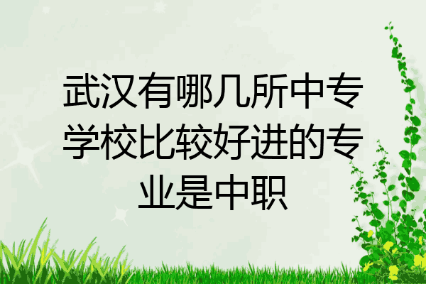 武汉有哪几所中专学校比较好进的专业是中职