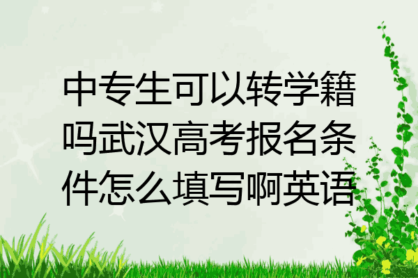 中专生可以转学籍吗武汉高考报名条件怎么填写啊英语