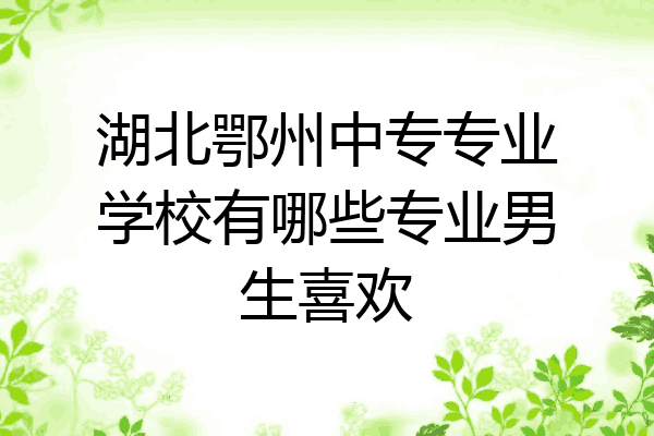 湖北鄂州中专专业学校有哪些专业男生喜欢
