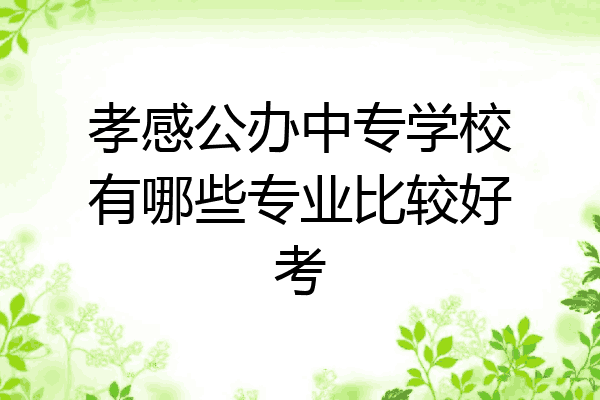 孝感公办中专学校有哪些专业比较好考