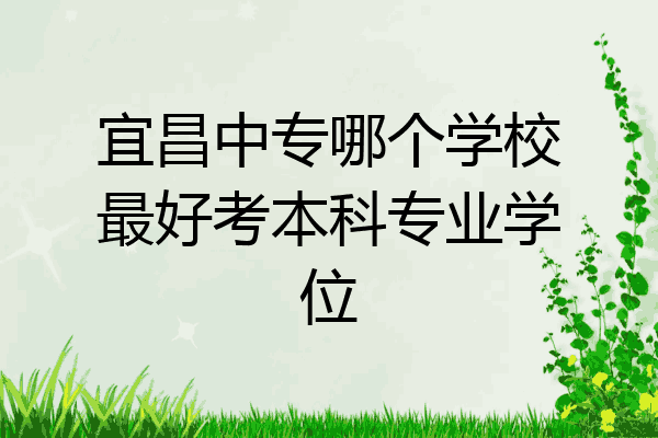 宜昌中专哪个学校最好考本科专业学位