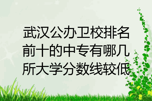 武汉公办卫校排名前十的中专有哪几所大学分数线较低