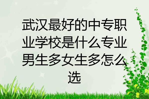 武汉最好的中专职业学校是什么专业男生多女生多怎么选