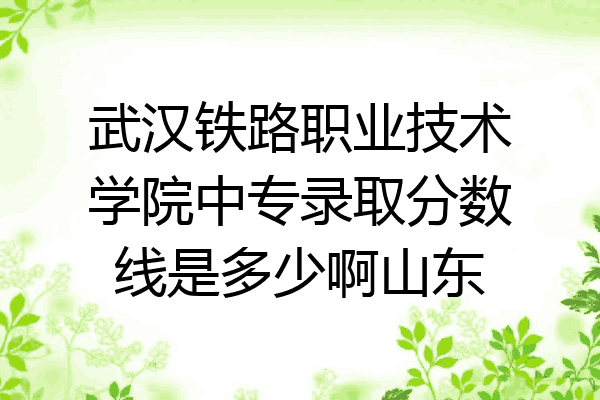 武汉铁路职业技术学院中专录取分数线是多少啊山东