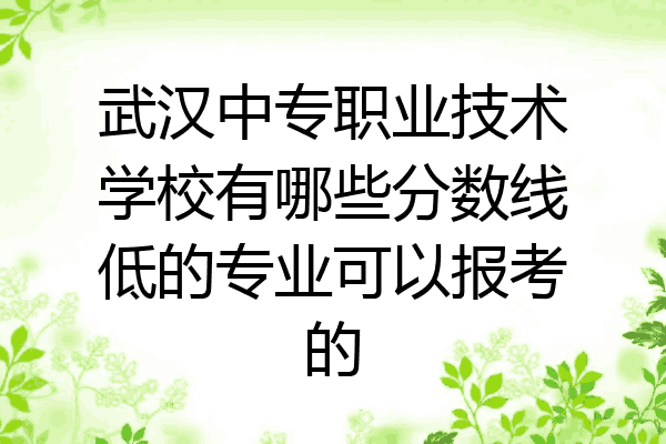 武汉中专职业技术学校有哪些分数线低的专业可以报考的