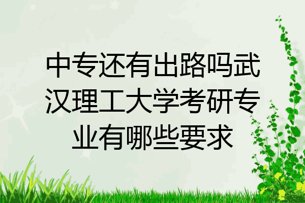 中专还有出路吗武汉理工大学考研专业有哪些要求