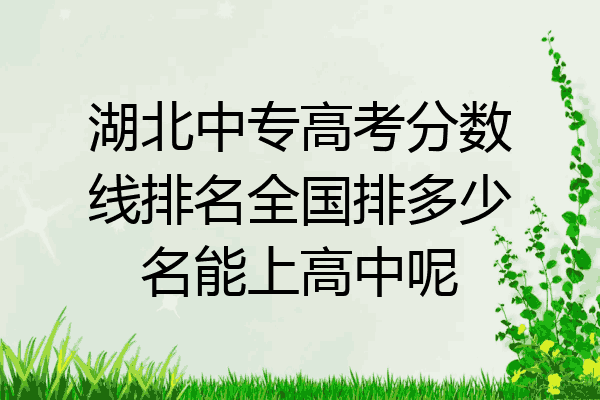 湖北中专高考分数线排名全国排多少名能上高中呢