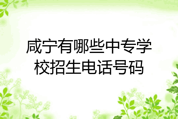 咸宁有哪些中专学校招生电话号码