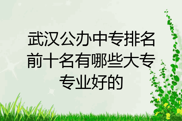 武汉公办中专排名前十名有哪些大专专业好的