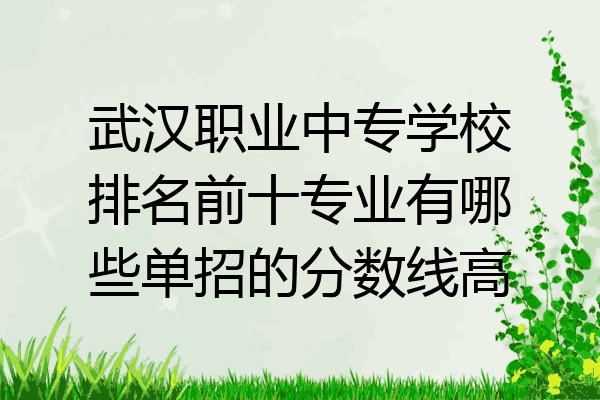 武汉职业中专学校排名前十专业有哪些单招的分数线高