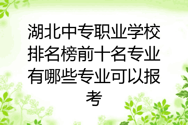 湖北中专职业学校排名榜前十名专业有哪些专业可以报考