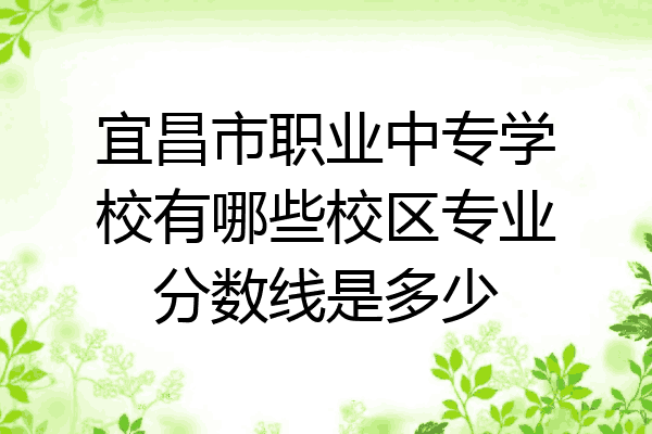 宜昌市职业中专学校有哪些校区专业分数线是多少
