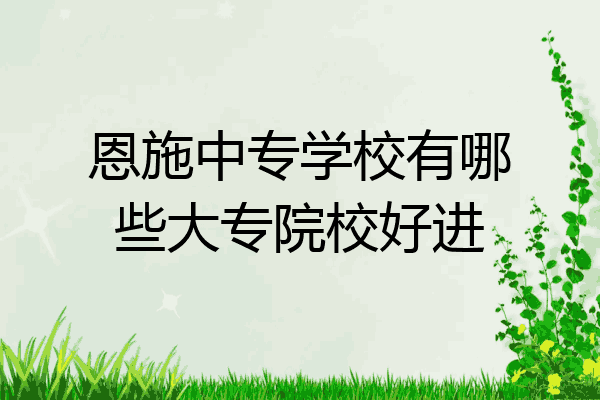 恩施中专学校有哪些大专院校好进